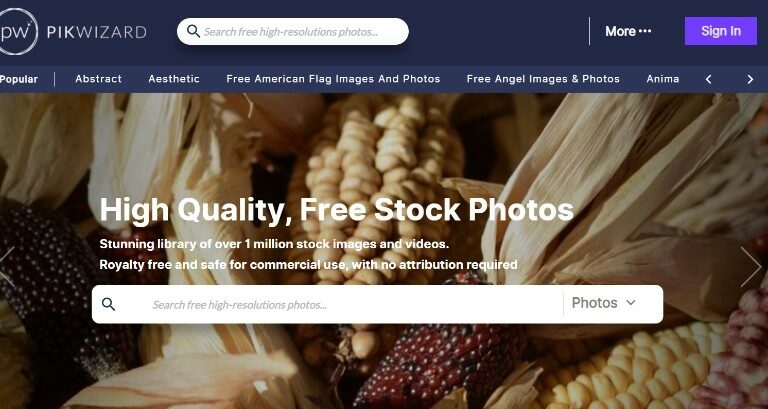 Pikwizard: Your Ultimate Source for Free Photos and Free Stock Photos