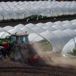 Investing in Greenhouses