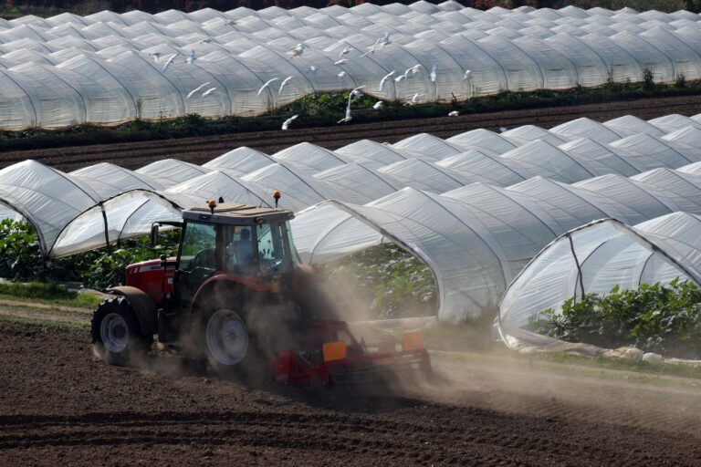 Investing in Greenhouses