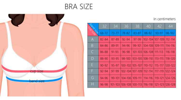 Bra Sizing