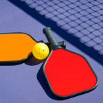 Pro Pickleball Paddles