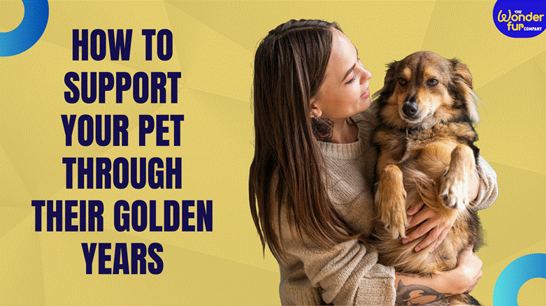 How to Support Your Pet Through Their Golden Years?