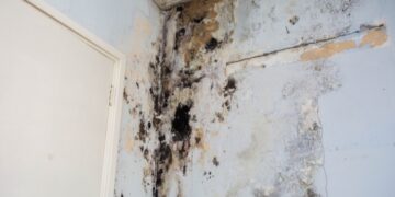 Ignoring Mold